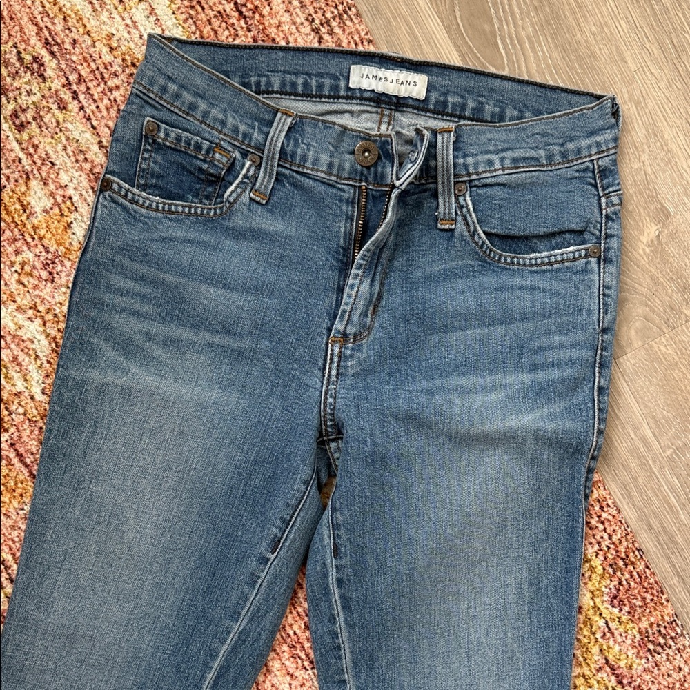James Jeans Twiggy Ankle Skinny Jeans